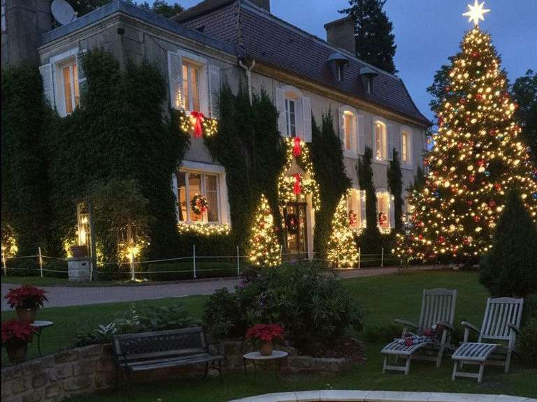 Maison Cirey-sur-Vezouze - 5 chambres - 340m²