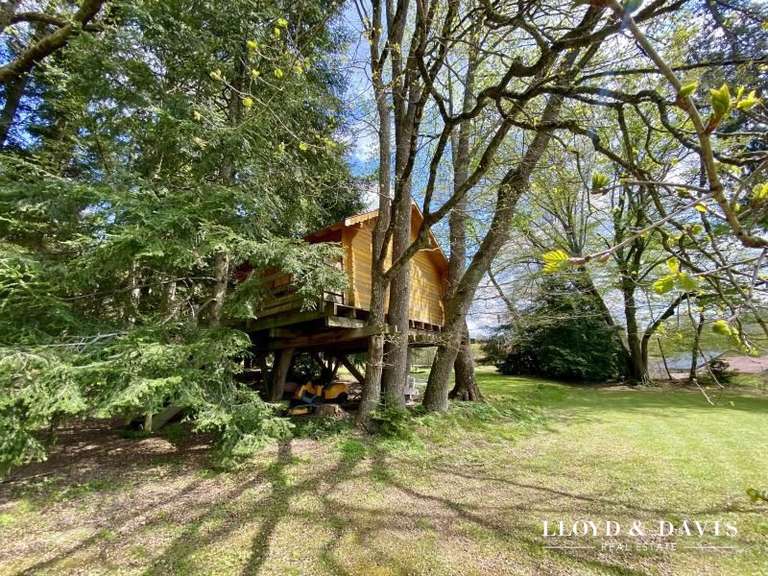 Maison Cirey-sur-Vezouze - 5 chambres - 340m²