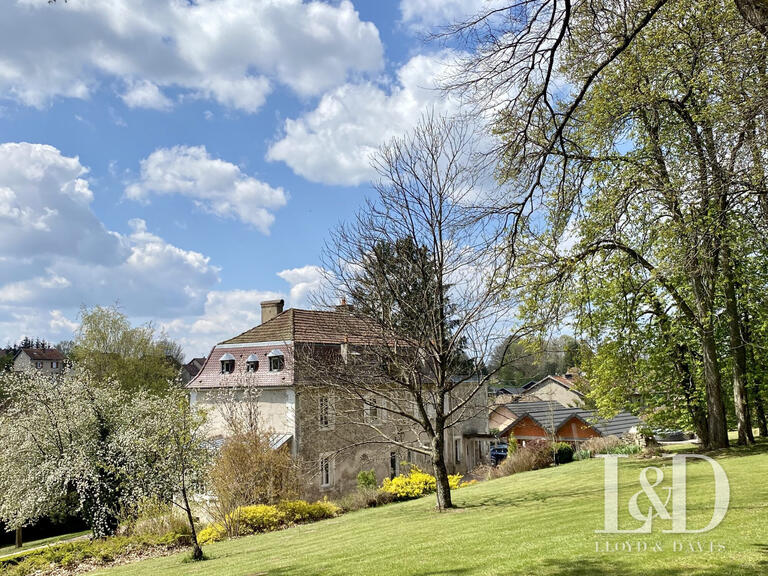 House Cirey-sur-Vezouze - 5 bedrooms - 340m²