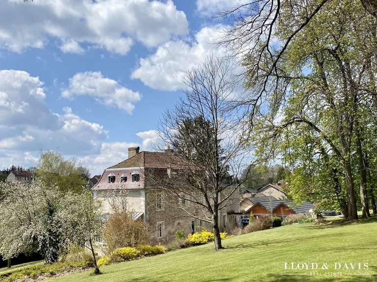 Maison Cirey-sur-Vezouze - 5 chambres - 340m²