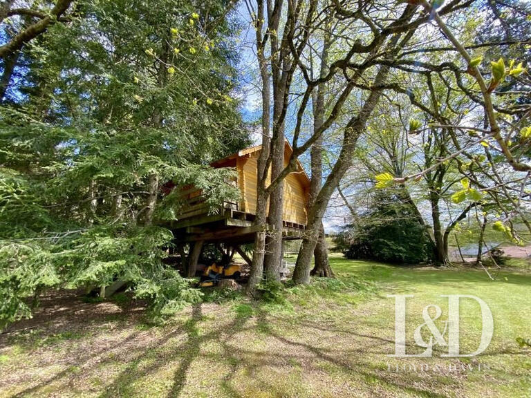 House Cirey-sur-Vezouze - 5 bedrooms - 340m²