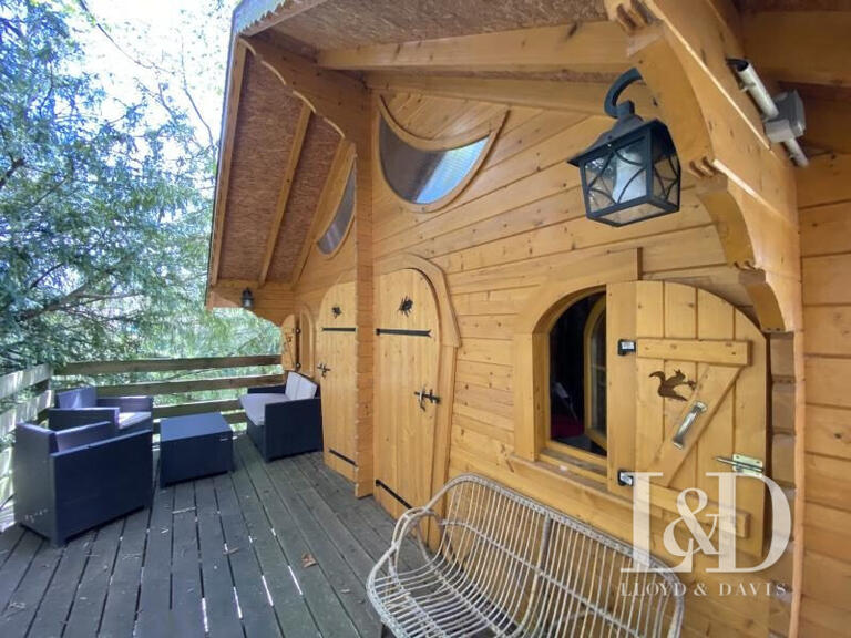 House Cirey-sur-Vezouze - 5 bedrooms - 340m²