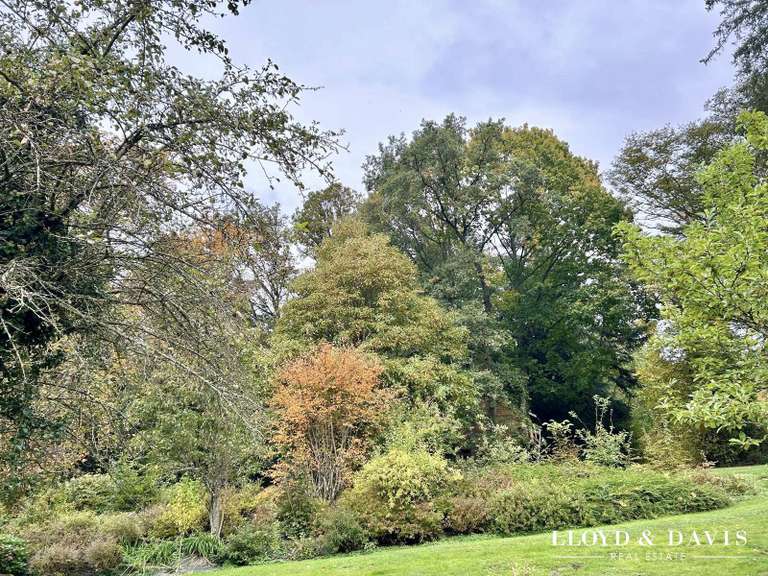 Maison Cirey-sur-Vezouze - 5 chambres - 340m²