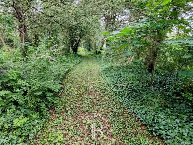 Propriété Clamecy - 5 chambres