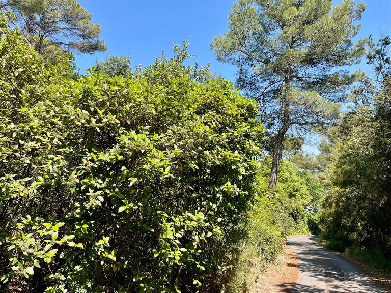 Terrain Clapiers - 1865m²