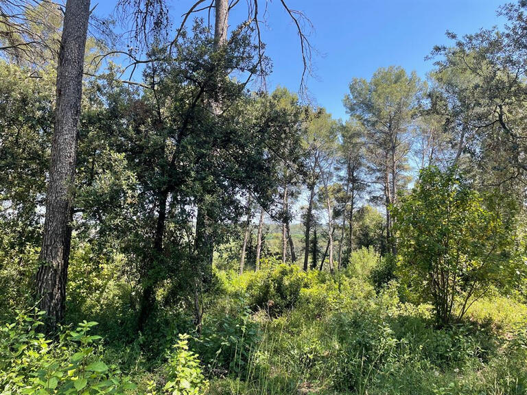 Terrain Clapiers - 1865m²