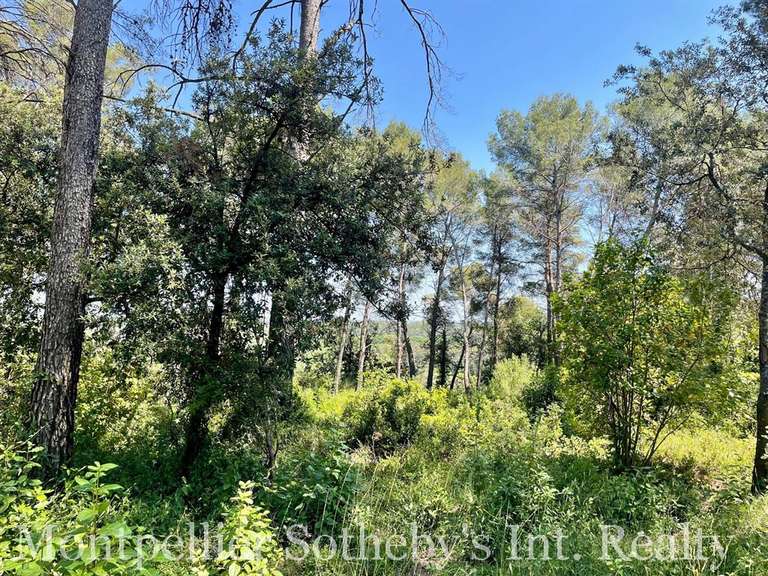 Land Clapiers - 1865m²