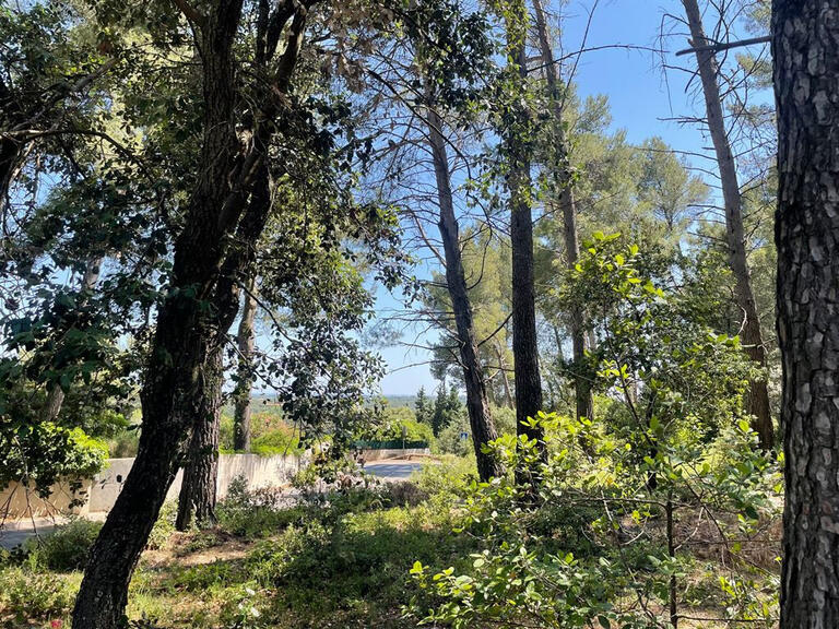 Terrain Clapiers - 1865m²