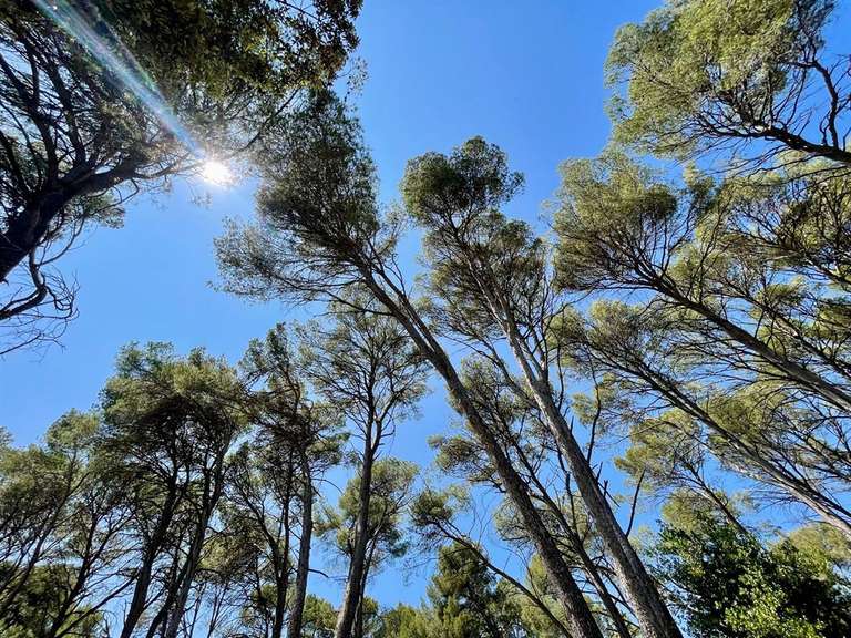 Land Clapiers - 1865m²