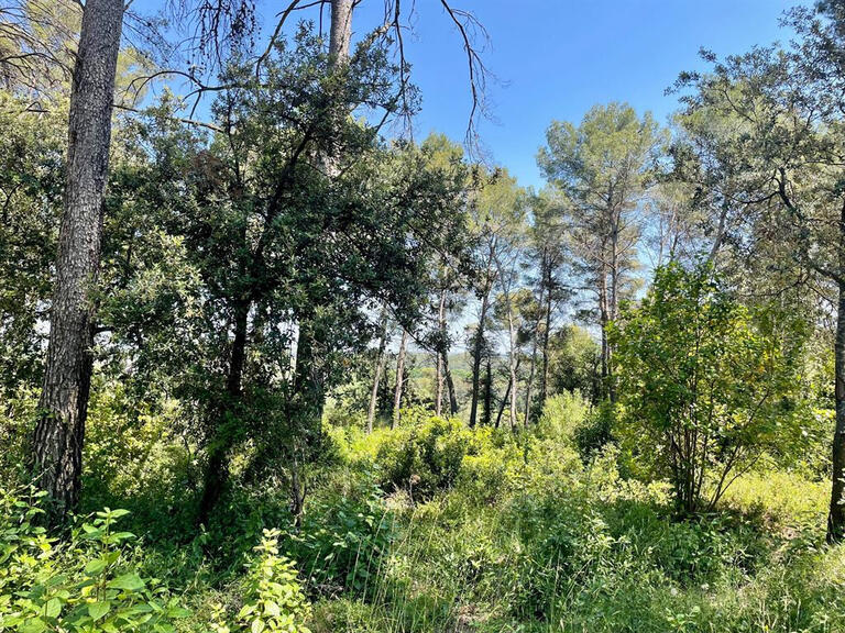 Terrain Clapiers - 1865m²