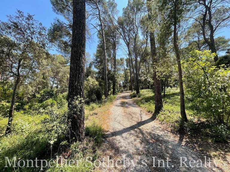 Land Clapiers - 1865m²