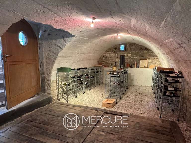 Maison Clermont-Ferrand - 4 chambres - 496m²