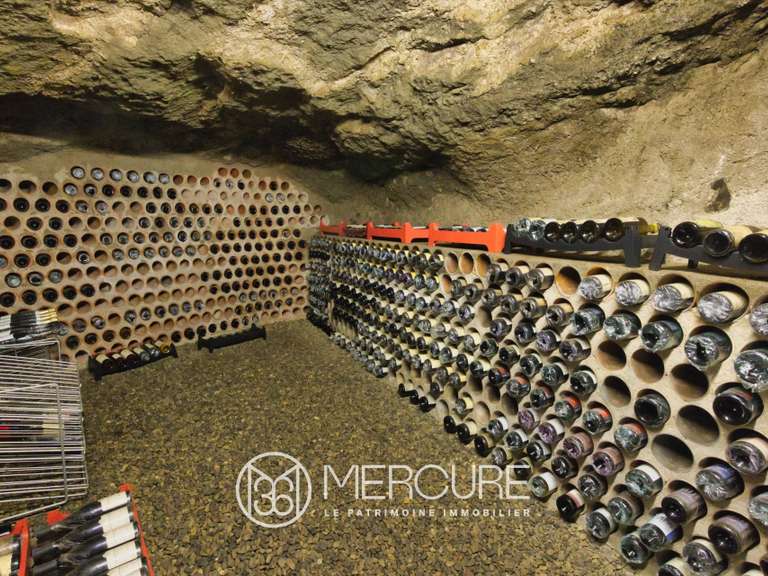 Maison Clermont-Ferrand - 4 chambres - 392m²