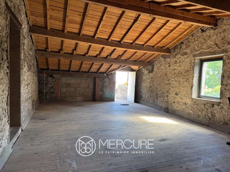 Maison Clermont-Ferrand - 4 chambres - 392m²