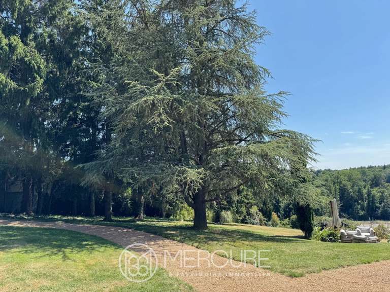 Manoir Clermont-Ferrand - 7 chambres - 350m²