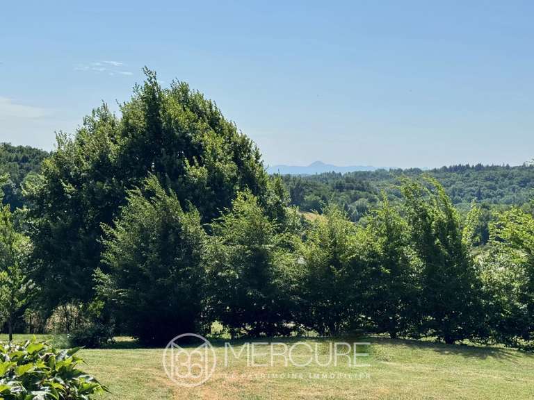 Manoir Clermont-Ferrand - 7 chambres - 350m²