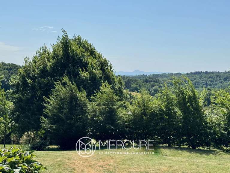 Manoir Clermont-Ferrand - 7 chambres - 400m²