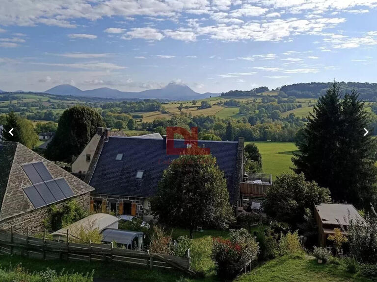 Vente Propriété Clermont-Ferrand - 7 chambres