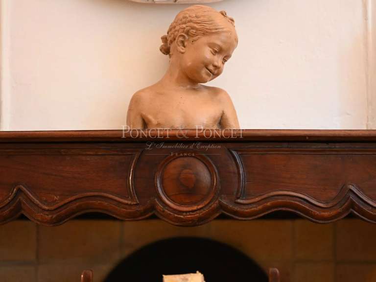 Castle Clermont-l'Hérault - 8 bedrooms - 450m²