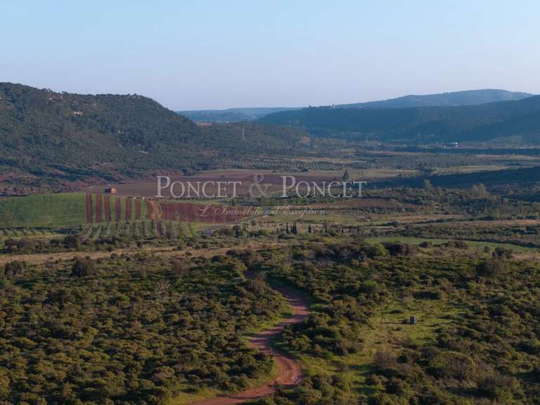 Castle Clermont-l'Hérault - 8 bedrooms - 450m²