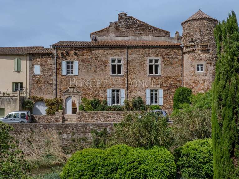 Castle Clermont-l'Hérault - 8 bedrooms - 450m²