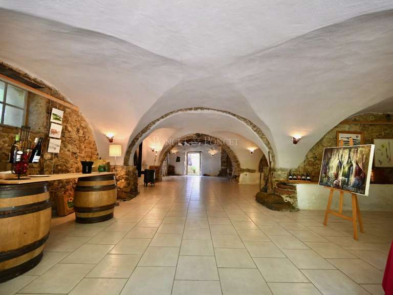 Propriété Clermont-l'Hérault - 10 chambres - 890m²
