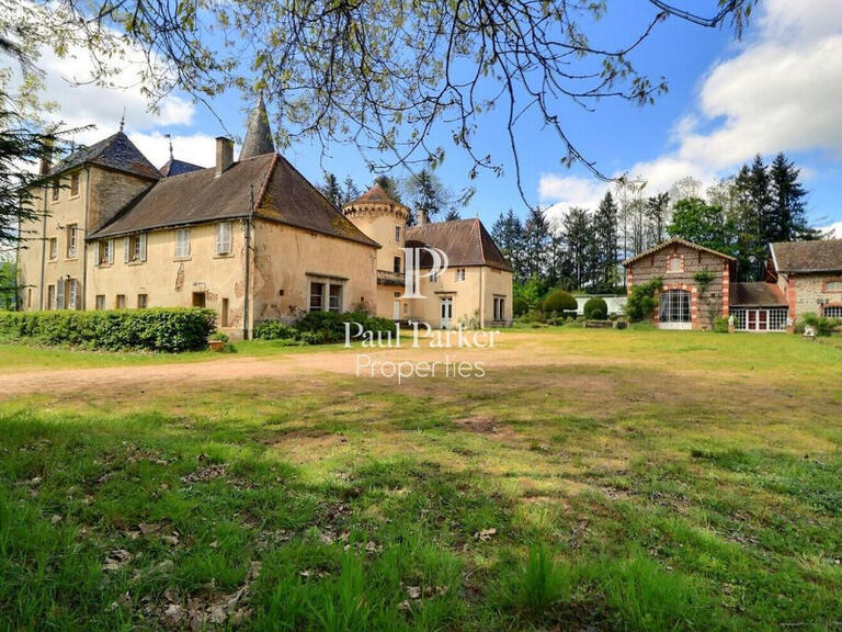 Sale Castle Cluny - 15 bedrooms