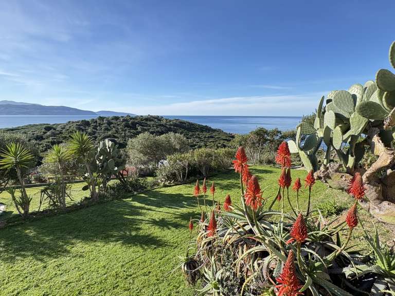Villa avec Vue sur mer Coggia - 8 chambres - 249m²