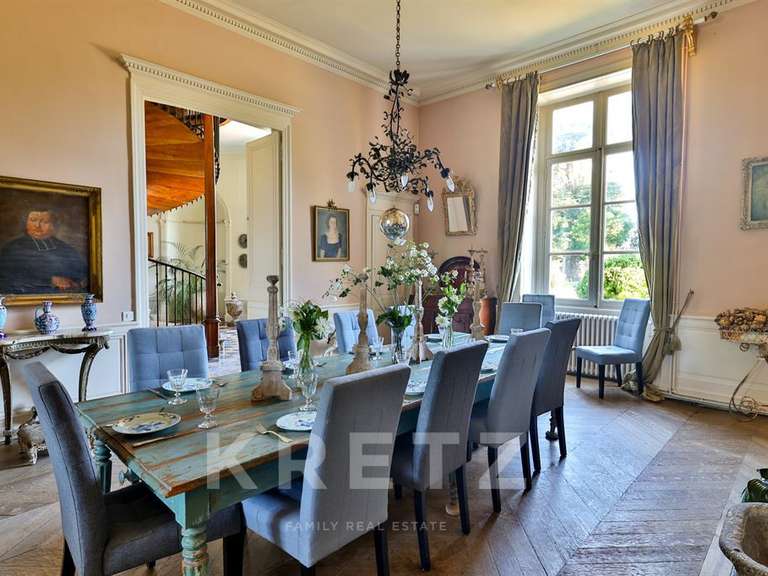 Castle Cognac - 9 bedrooms - 1200m²