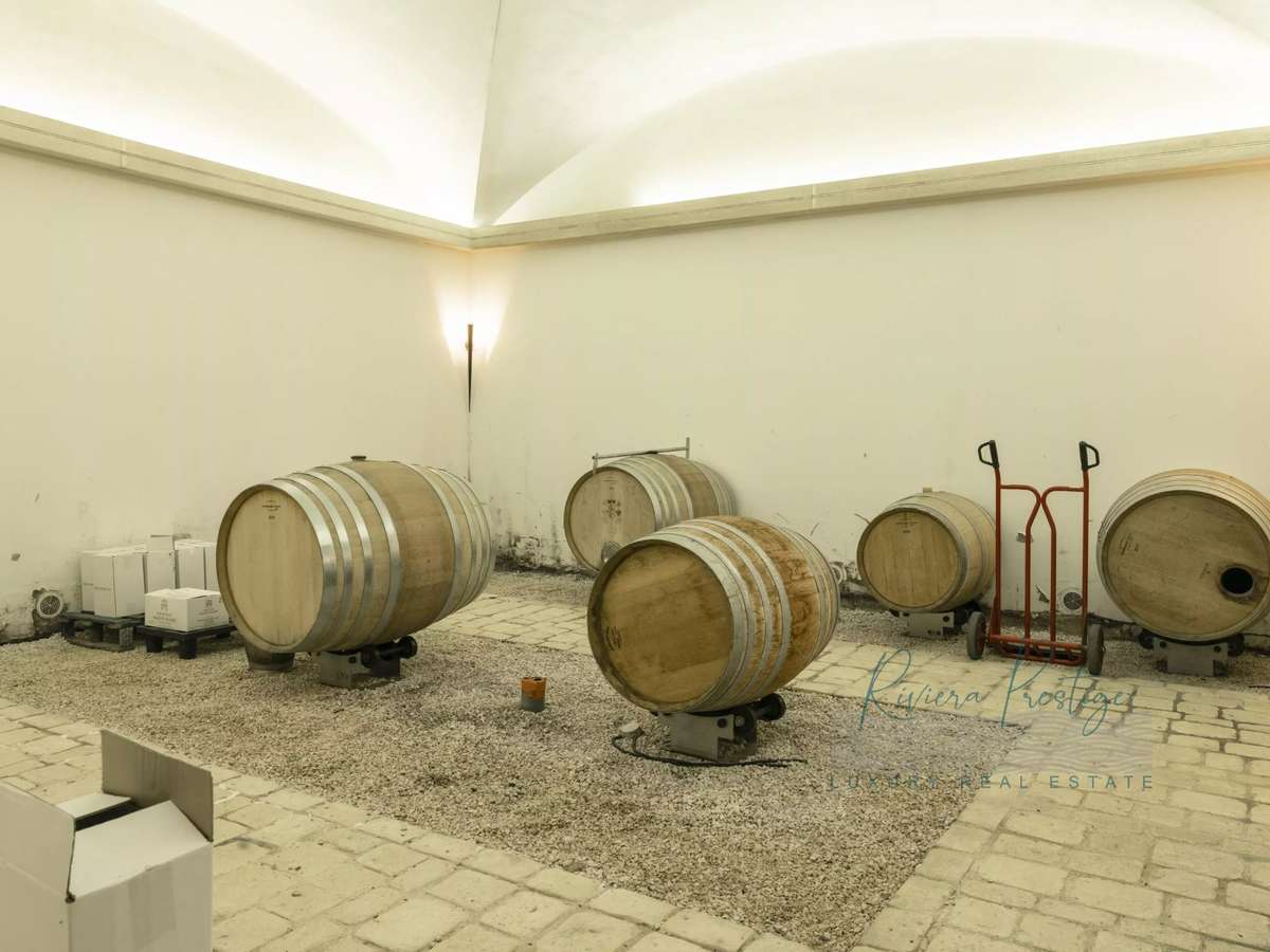 Domaine viticole Cogolin