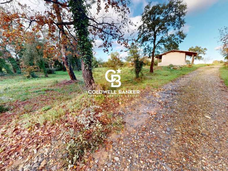 Maison Cogolin - 6 chambres - 280m²