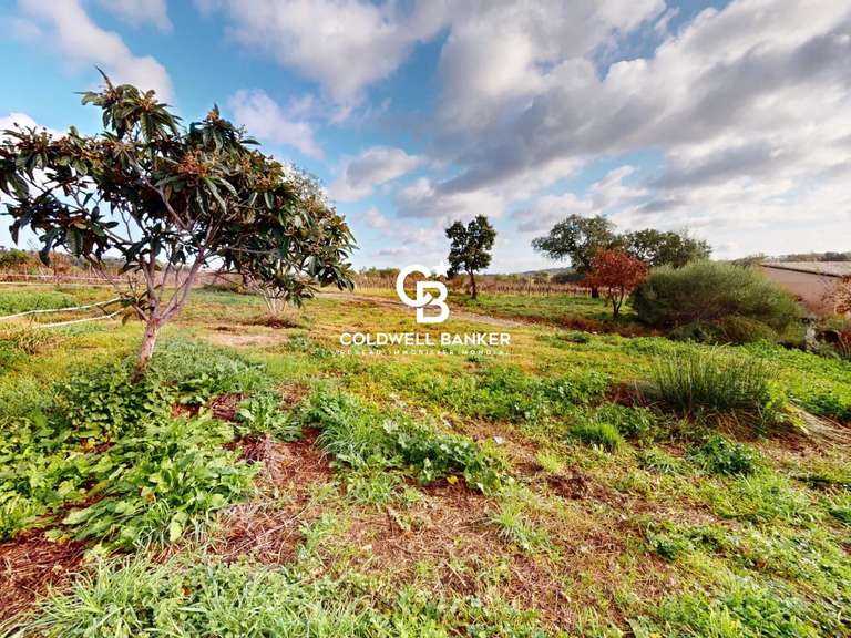 Maison Cogolin - 6 chambres - 280m²