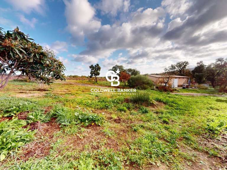 Maison Cogolin - 6 chambres - 280m²