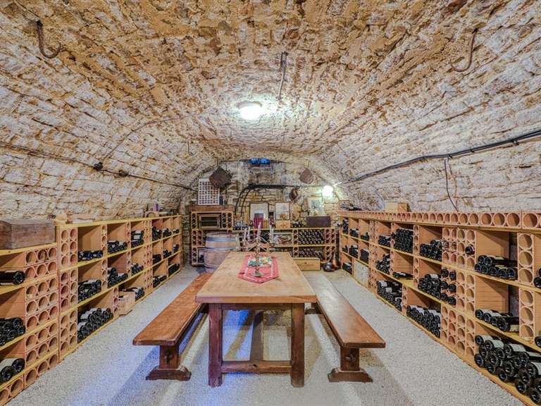 Castle Coligny - 543m²