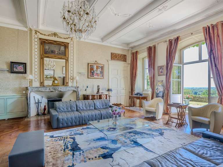 Castle Coligny - 543m²