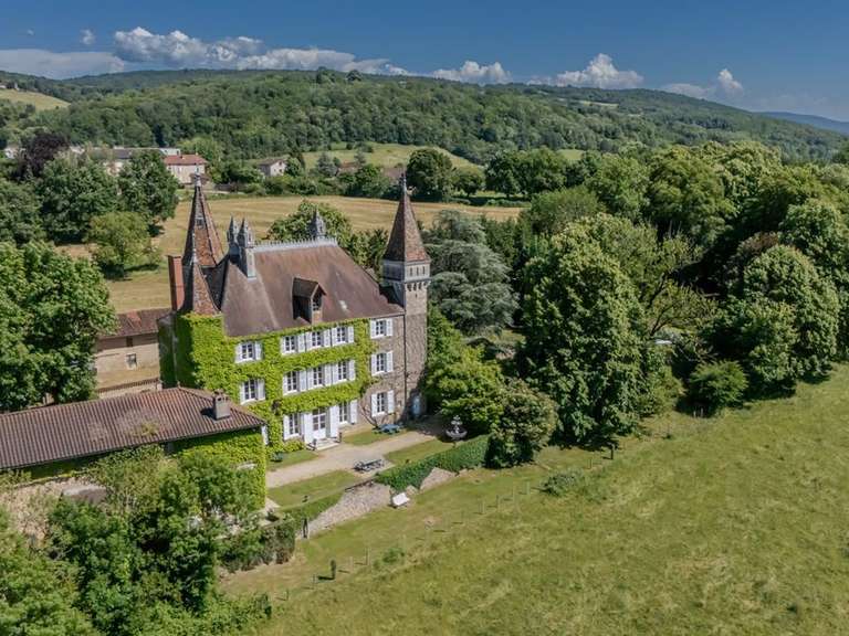 Château Coligny - 543m²