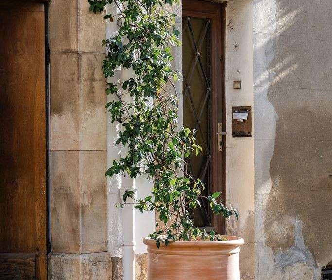 House Collobrières - 6 bedrooms - 215m²