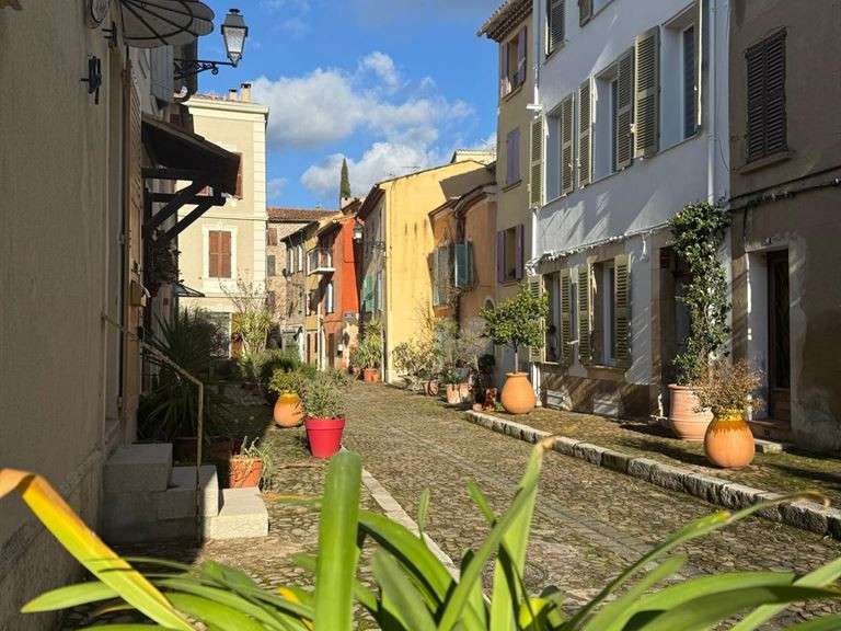 House Collobrières - 6 bedrooms - 215m²