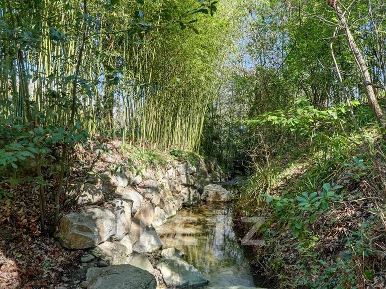 Maison Colomiers - 5 chambres - 255m²