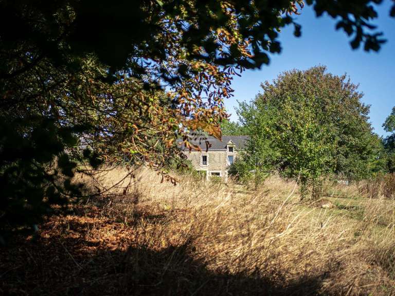 Maison Colpo - 4 chambres