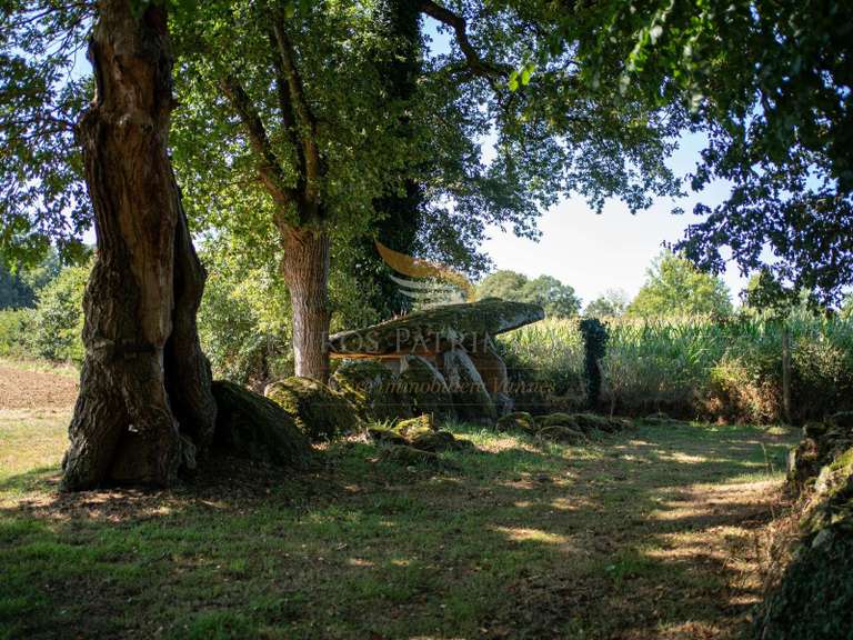 Maison Colpo - 4 chambres