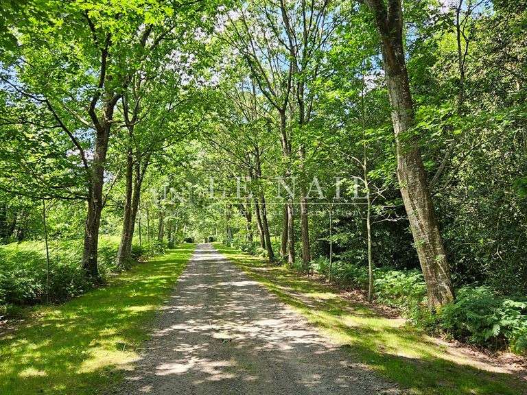 Château Combourg - 16 chambres - 850m²