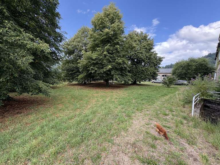 Propriété Condat - 14 chambres - 1200m²