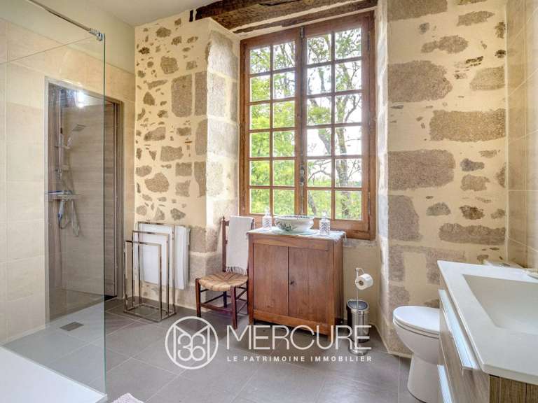 House Condat-sur-Vienne - 6 bedrooms - 465m²