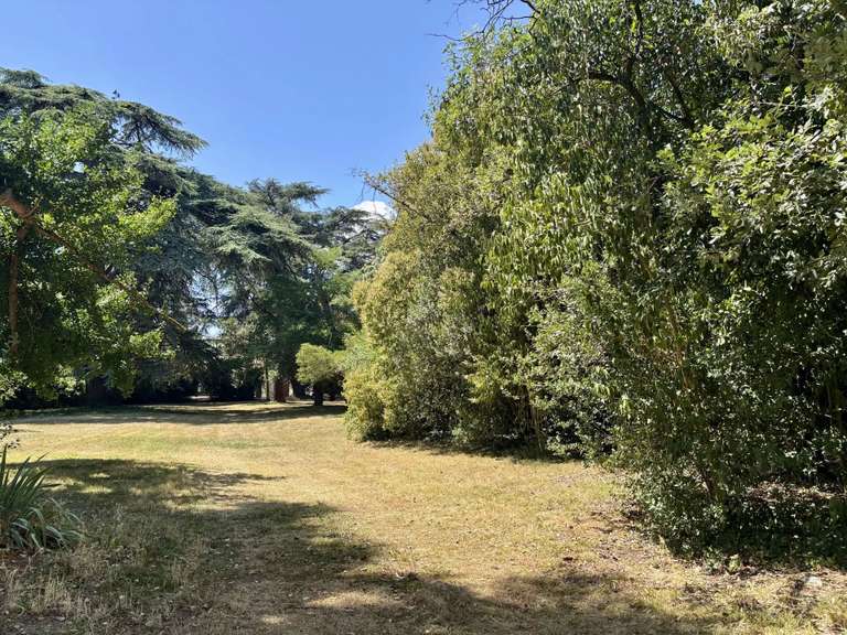 Maison Condom - 4 chambres - 222m²