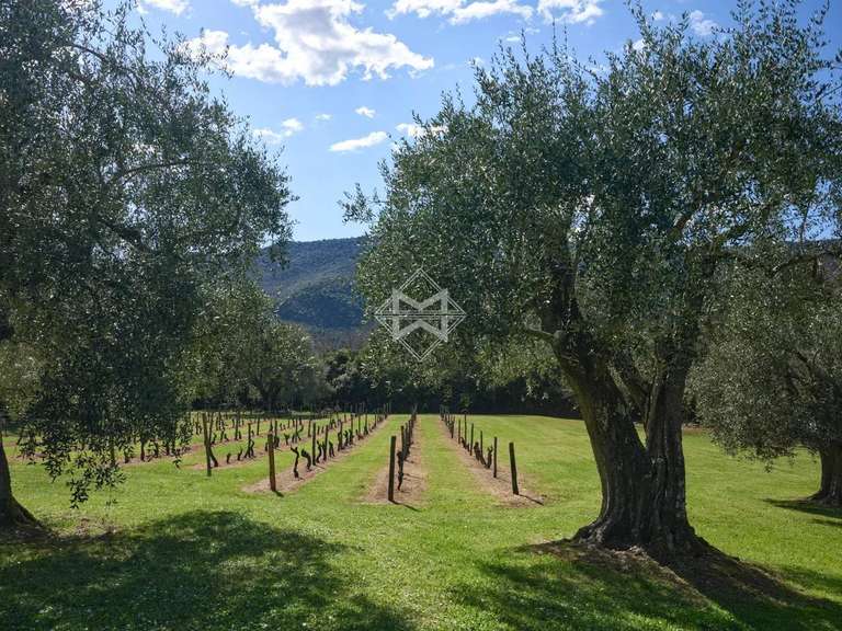 Propriété Contes - 11 chambres - 600m²