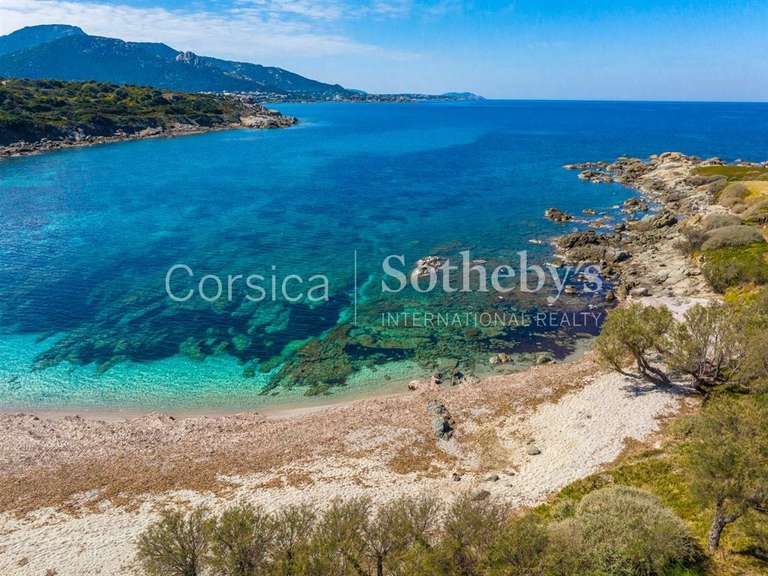 Maison avec Vue sur mer Corbara - 4 chambres - 230m²