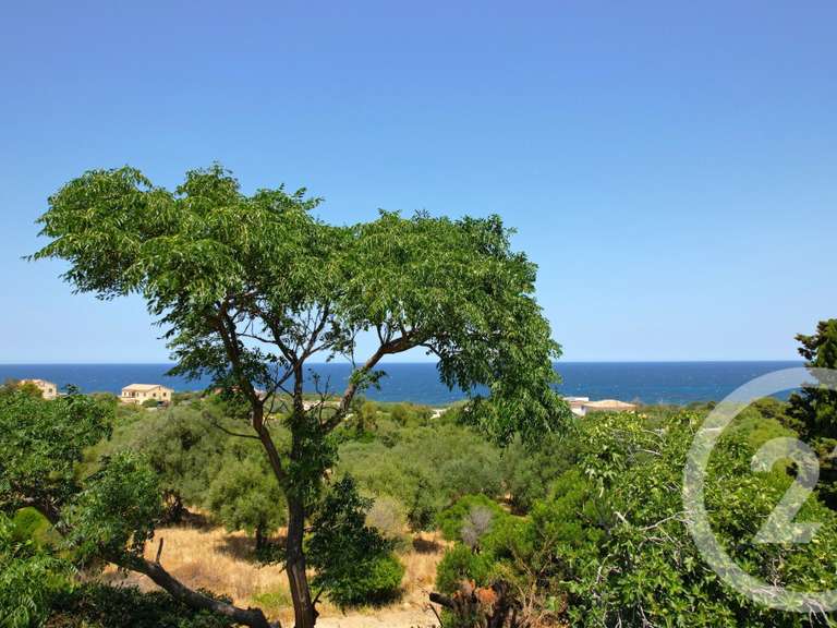 Maison Corbara - 4 chambres - 19m²
