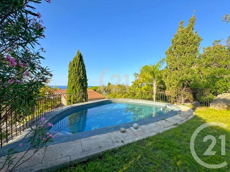 Maison Corbara - 5 chambres - 223m²