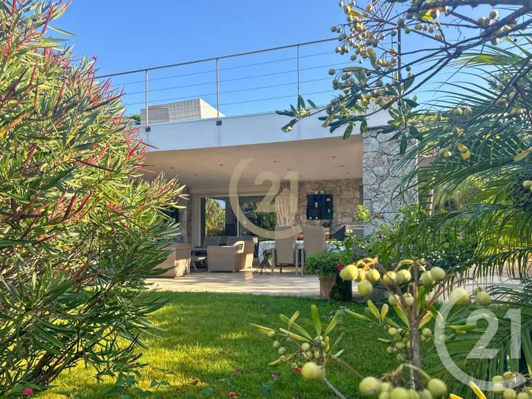 Maison Corbara - 5 chambres - 223m²